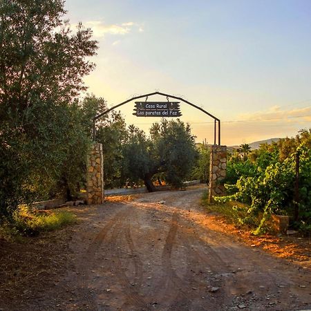Las Paratas Del Faz Finana Luaran gambar